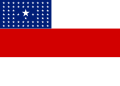 flag of Governo do Estado do Amazonas